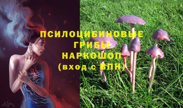 марки nbome Алексеевка