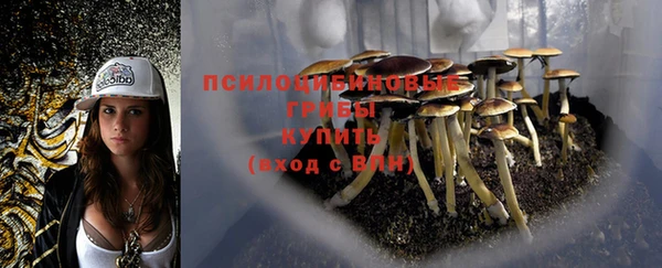 мескалин Алзамай