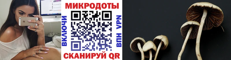 Галлюциногенные грибы Psilocybe  omg вход  Тобольск 